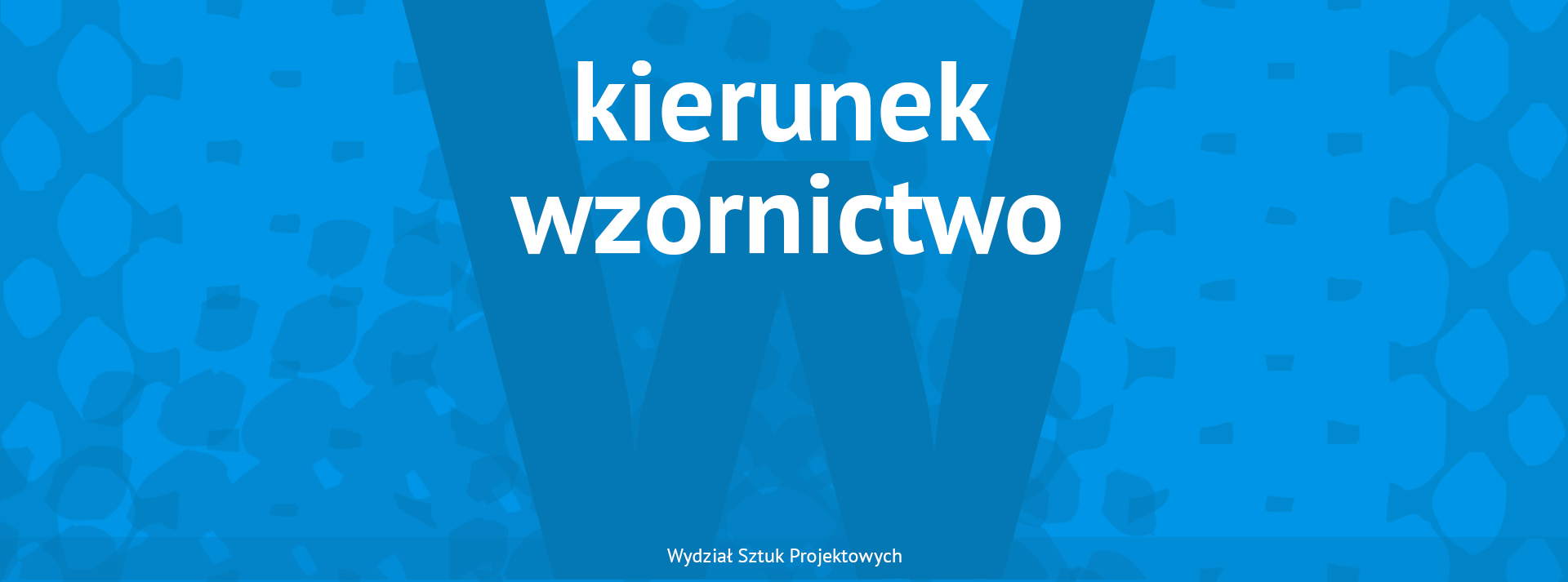 kierunek wzornictwo 4fad8