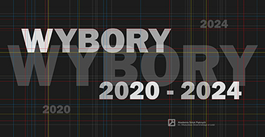 Wybory 2020–2024